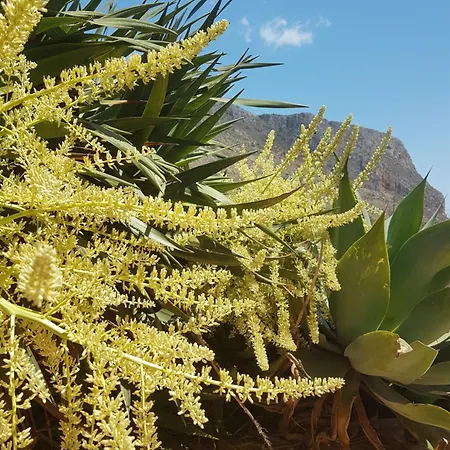 Hébergement de vacances My In