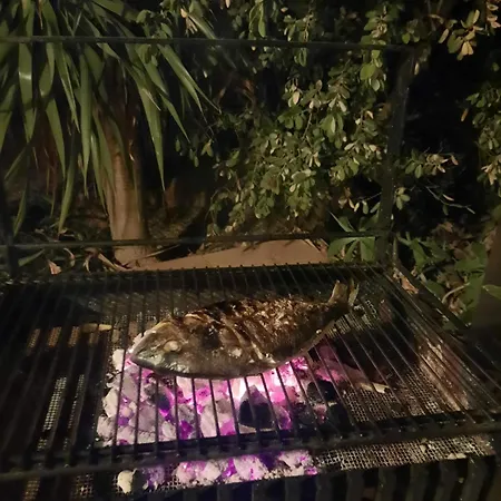 Hébergement de vacances My In