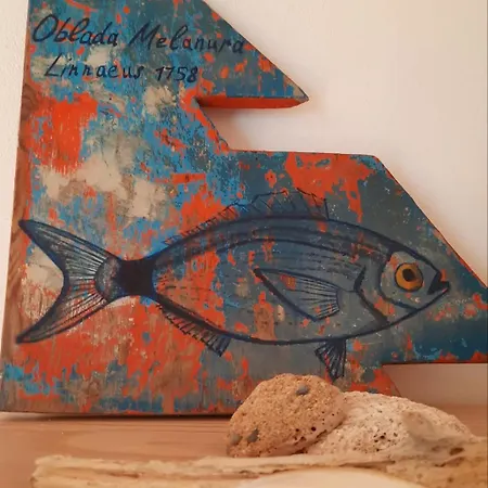 My In Hébergement de vacances *