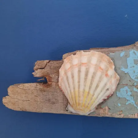 Hébergement de vacances My In *