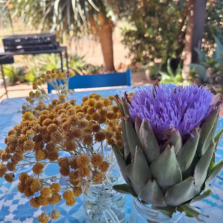 My In Hébergement de vacances *