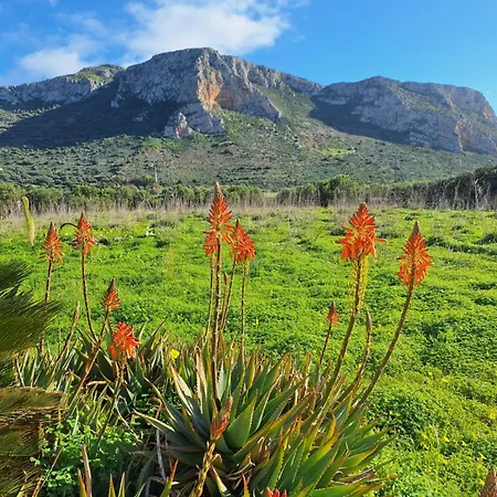 My In Hébergement de vacances Favignana